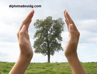 curso diplomado especializacio resolucion de conflictos ambientales