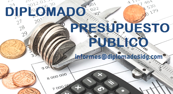 Diplomado Presupuesto P&uacute;blico Sector Endeudamiento Financiero Universidad UNASAM Trujillo Ica Ucayali Per&uacute; Bolivia Chile Colombia